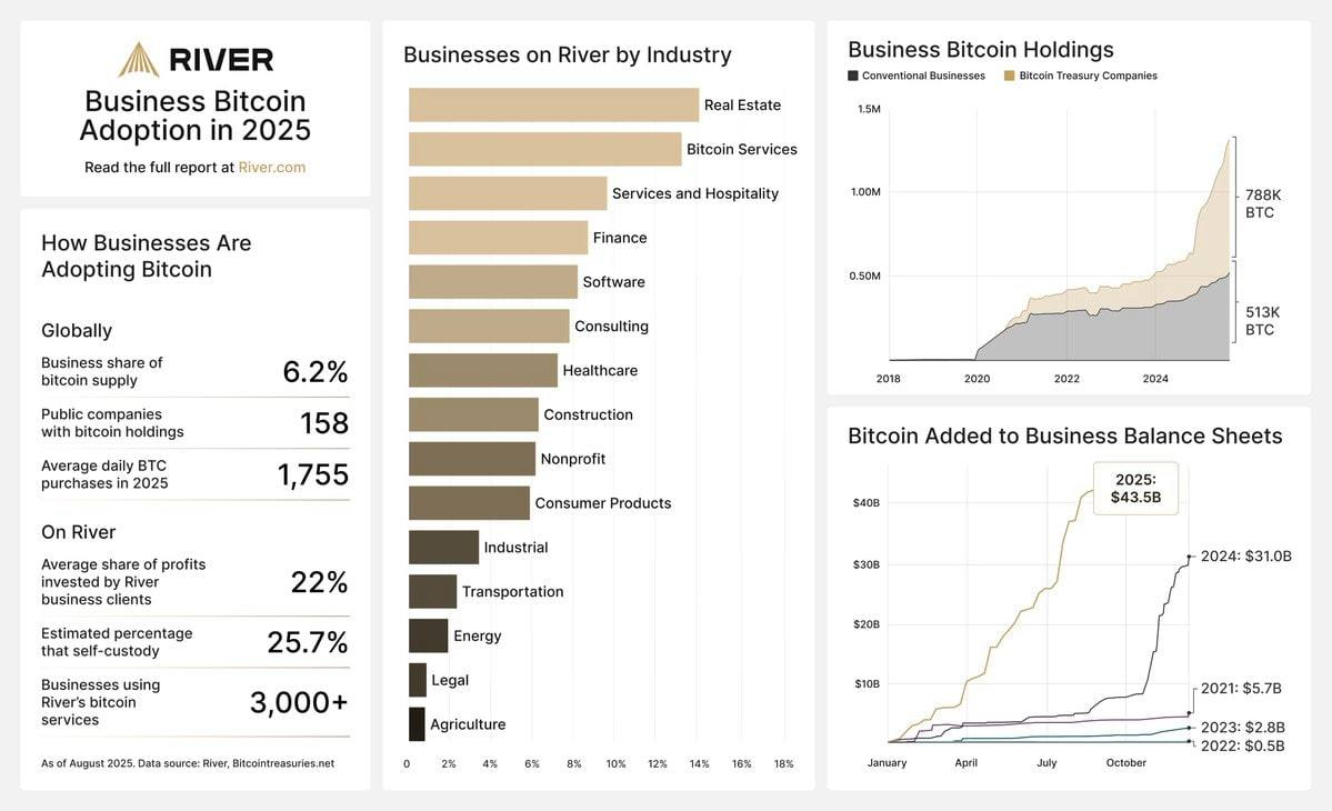 Частные компании реинвестируют в среднем 22% своей прибыли в BTC